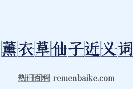 薰衣草仙子近义词是什么意思的图片